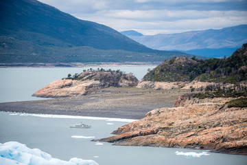 鲸鱼到底是怎样从陆地四肢动物下海进化而来？