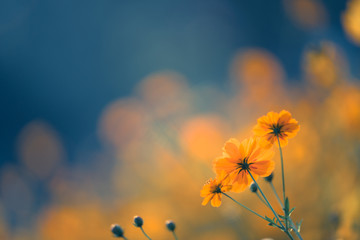 二级残疾证需要什么条件