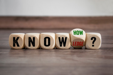 鲸鱼到底是怎样从陆地四肢动物下海进化而来？