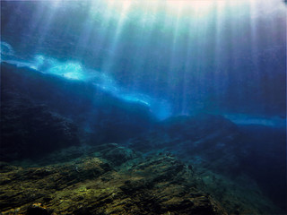 鲸鱼到底是怎样从陆地四肢动物下海进化而来？