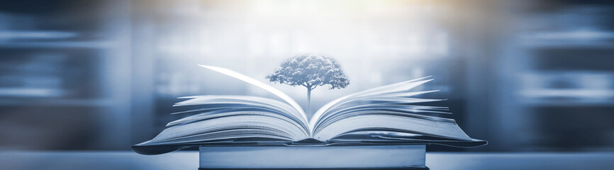 简述领导与管理的区别