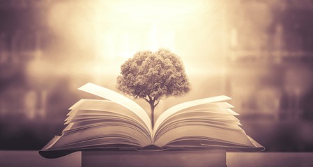 从昆明到福建坐火车到多少个小时？