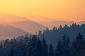 巫师3二周目鼠李草怎么扔