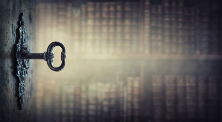 鲸鱼到底是怎样从陆地四肢动物下海进化而来？