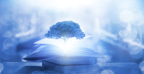 无主之地2局域网联机