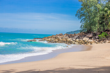 深圳哪里有摘草莓的地方？