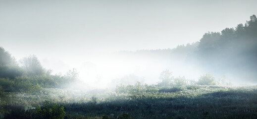 广播稿100字(生活小百科)