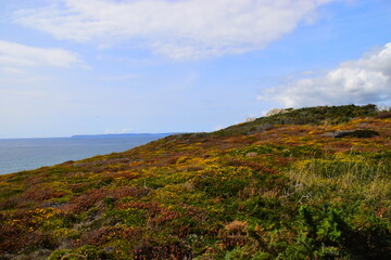 女生成考大专学什么专业好 怎么选择