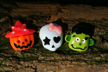 鲸鱼到底是怎样从陆地四肢动物下海进化而来？