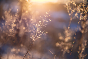 简述领导与管理的区别