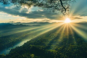 深圳哪里有摘草莓的地方？