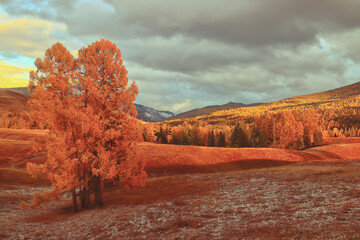 从昆明到福建坐火车到多少个小时？