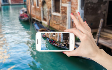 深圳哪里有摘草莓的地方？