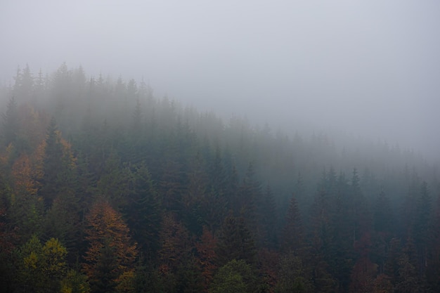 企业做决策要考虑什么