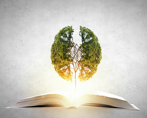 从昆明到福建坐火车到多少个小时？