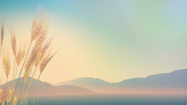 大营镇属于哪个省哪个市？