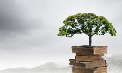 无主之地2局域网联机