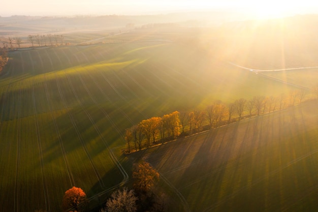 女生成考大专学什么专业好 怎么选择